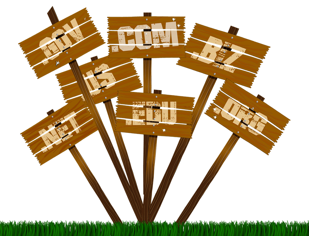 Scraping ICANN Whois Domain Data
