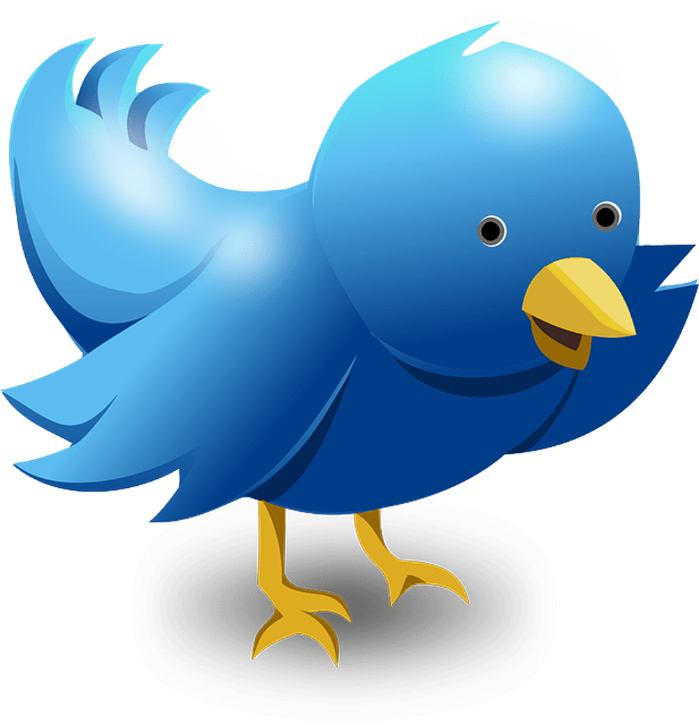 What Is Tweepy